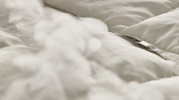 REFRESH WITH STEAM