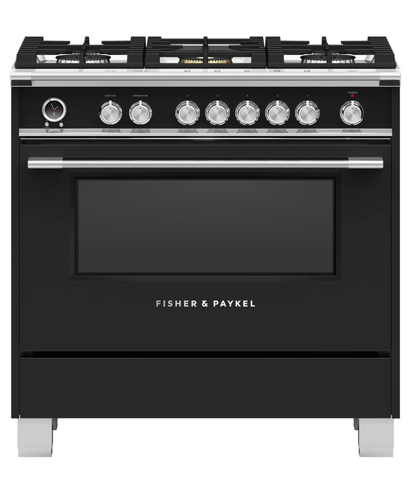 Fisher & Paykel Pro Style Dual Fuel Range