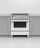 Induction Range, 30", 4 Zones, Self-cleaning gallery image 4.0