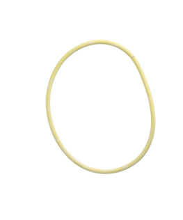 Motor Housing Seal
