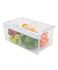 Crisper Bin gallery image 1.0
