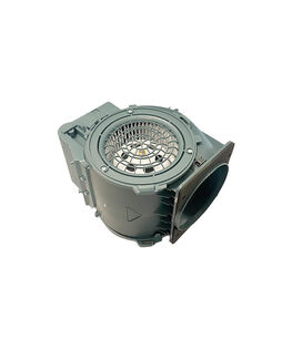 Motor Group