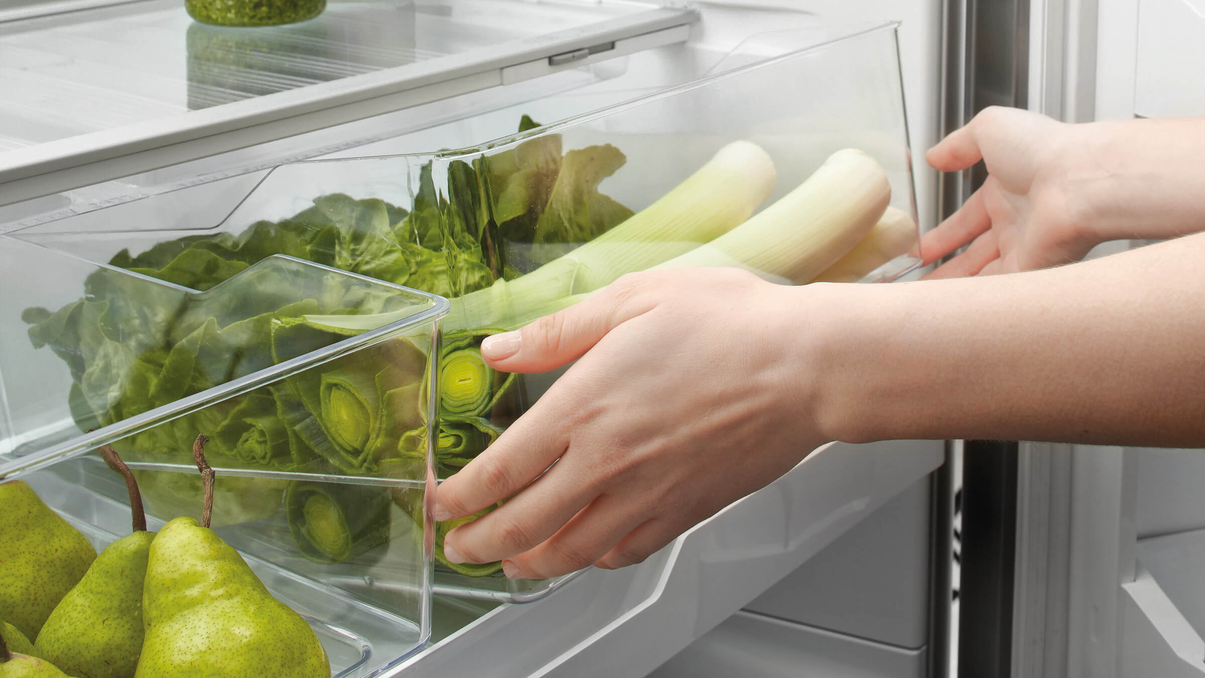 Очищенные овощи хранят. Холодильник для зелени. Хранение зелени в холодильнике. Холодильник для овощей.