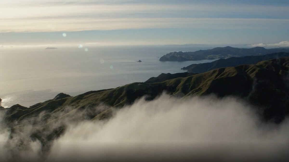 New Zealand Landscape