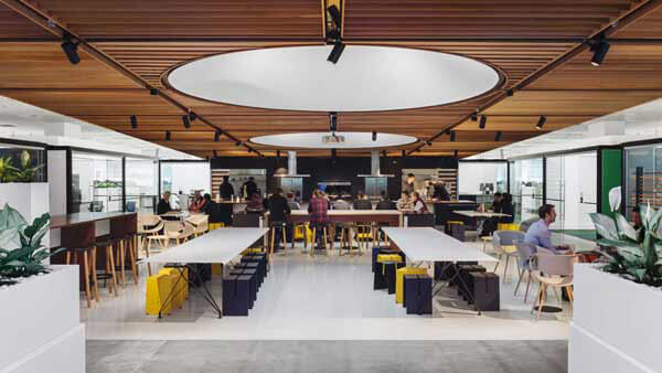 Fisher & Paykel Offices Social Kitchen.