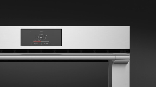 Silver Professional Built-in Oven