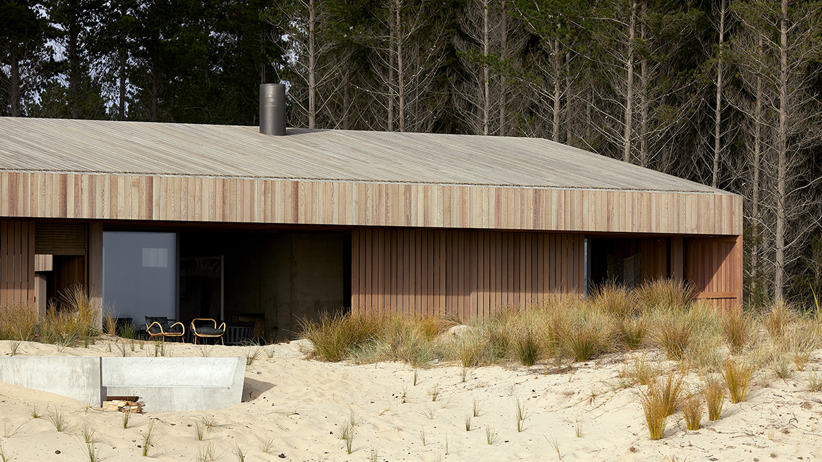 Exterior view of Te Arai house looking in from the sand dunes.