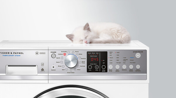 Fluffy White Cat Sleeping atop a Washing Machine.