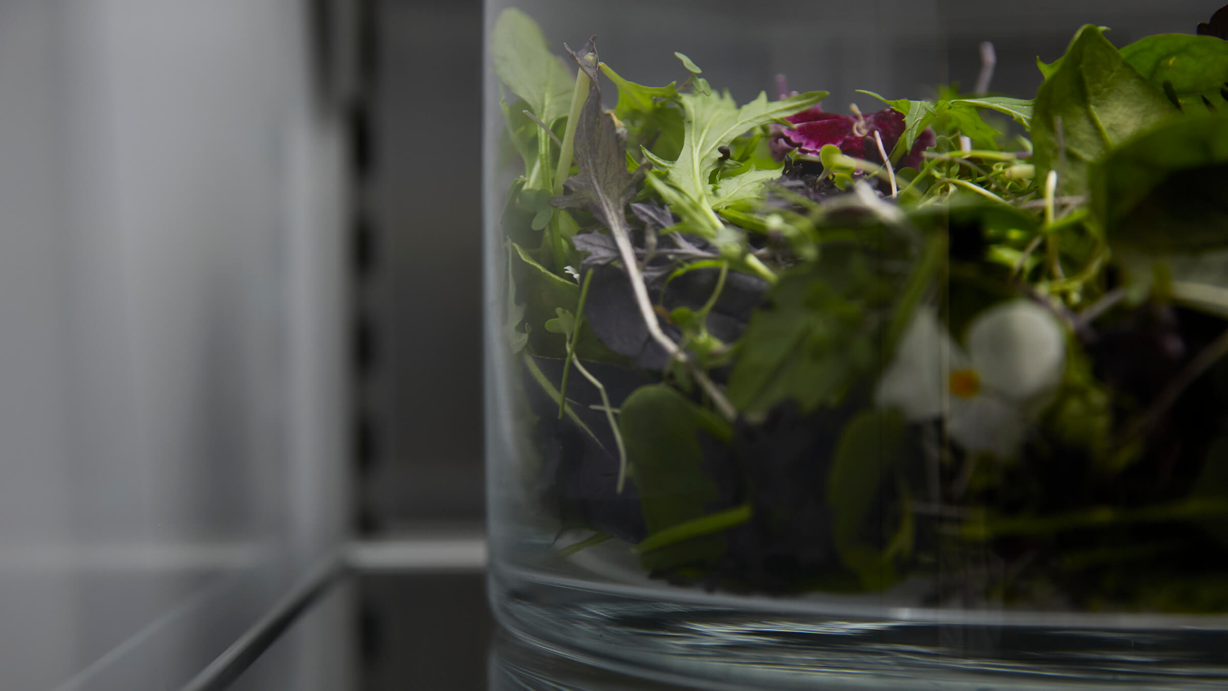 Detail of produce storage bins designed to maintain optimal humidity for freshness