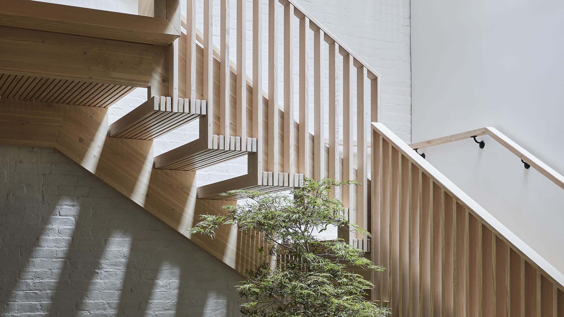 Sculptural Staircase and a Japenese maple