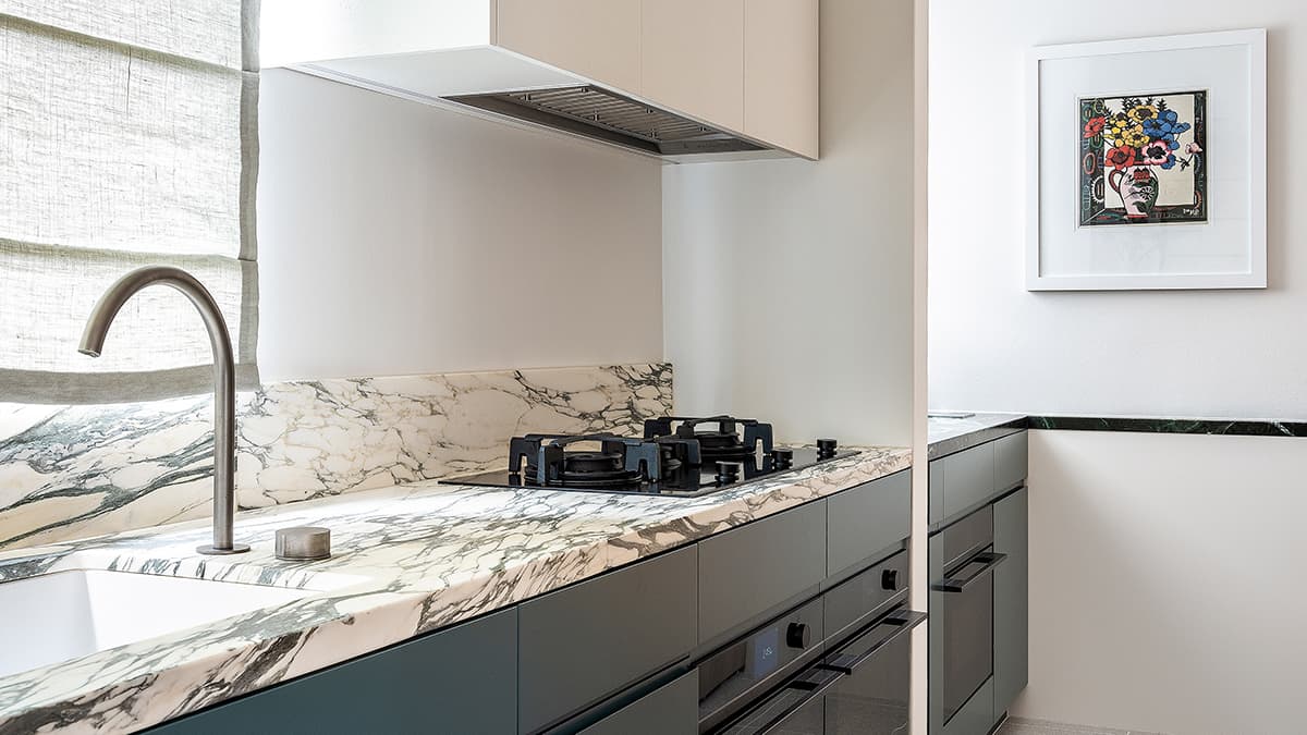 Shot showcasing the minimal Oven, Gas Cooktop and Integrated Range Hood.