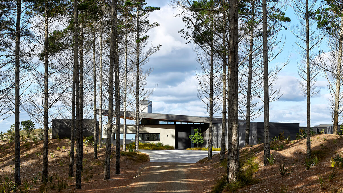 Exterior view looking towards Sandiland Coastal House amongst the trees