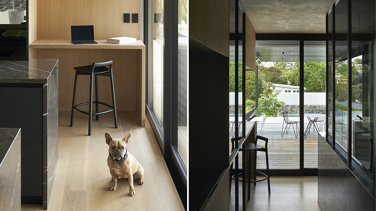 a dog in the kitchen next to a view out towards the back patio 