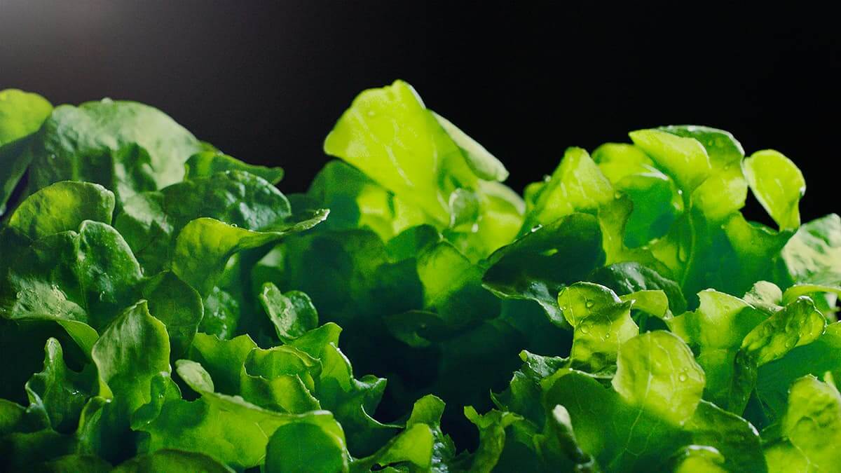 Dryer drum with garments in motion