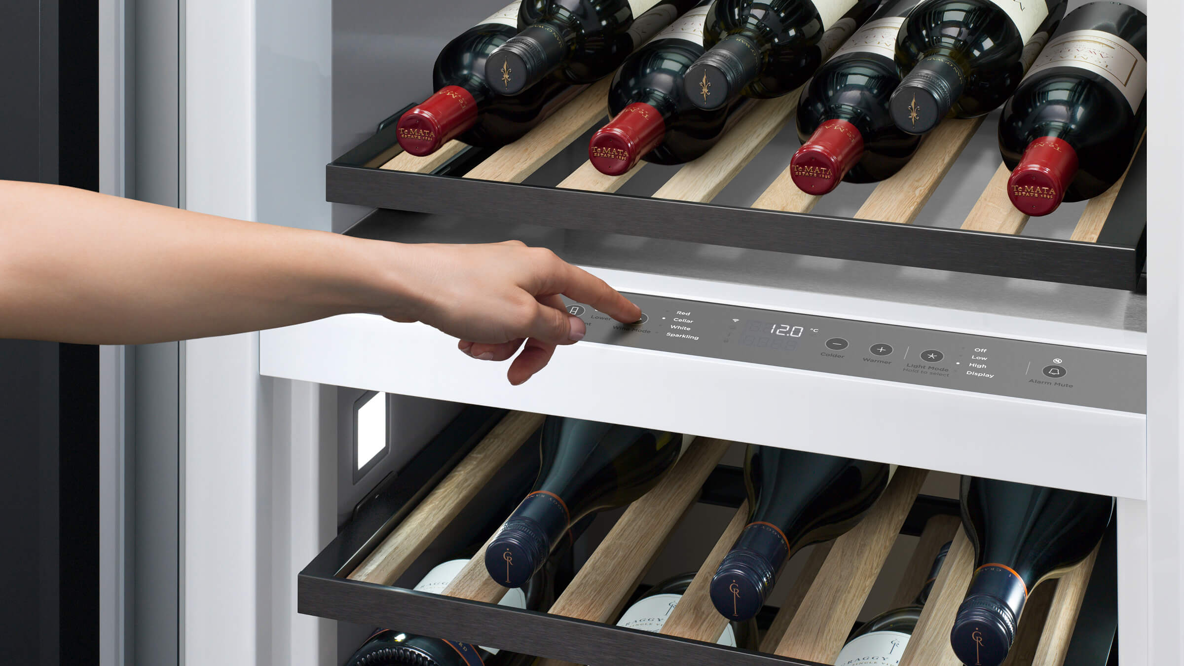 Interior view showing the consistent temperature management for wine ageing