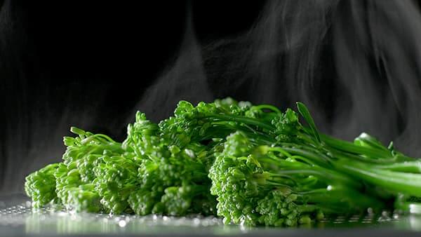 Open Single Shelved Oven with a Tray of Steamed Broccoli.
