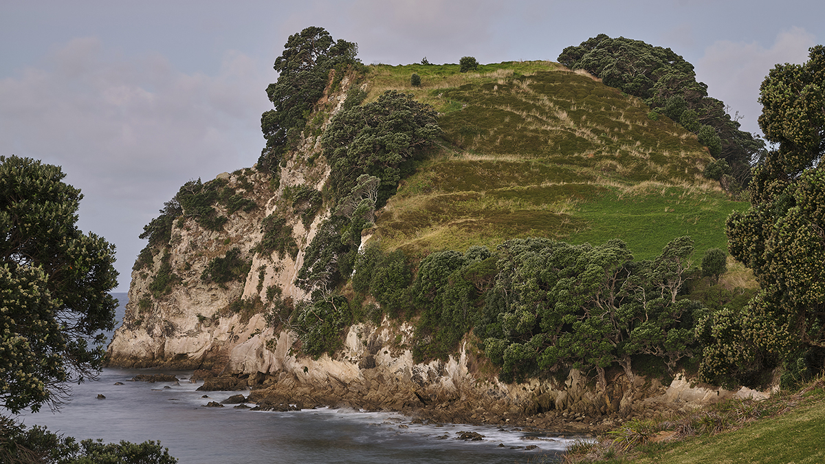 Coastal landscape of Hahei, New Zealand.